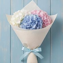 Букет цветов из:  Гортензия в Чегеме-Втором