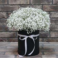 Цветочная композиция из Гипсофила в шляпной коробке в Чегеме-Втором