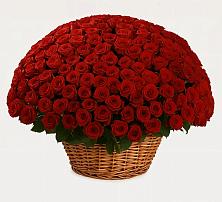 Премиум букет из: Розы #REPLACE_PRED# Чегеме-Втором