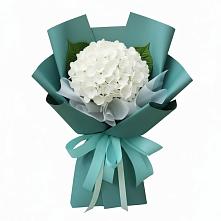 Букет цветов из:  Гортензия в Чегеме-Втором